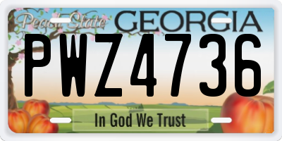 GA license plate PWZ4736