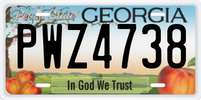 GA license plate PWZ4738