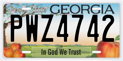 GA license plate PWZ4742