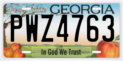 GA license plate PWZ4763