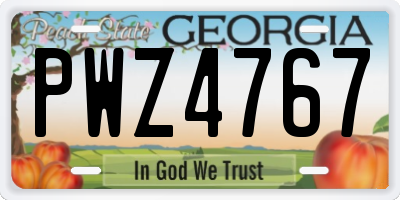 GA license plate PWZ4767