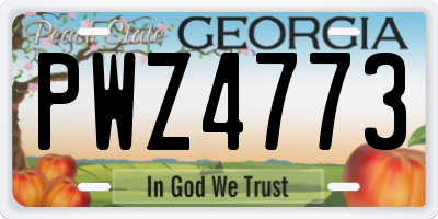 GA license plate PWZ4773