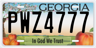 GA license plate PWZ4777
