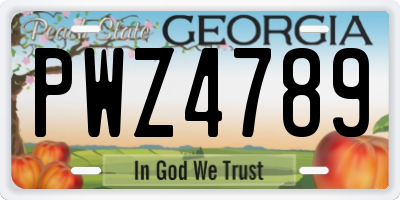 GA license plate PWZ4789