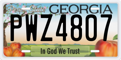 GA license plate PWZ4807