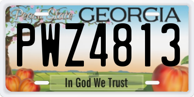 GA license plate PWZ4813