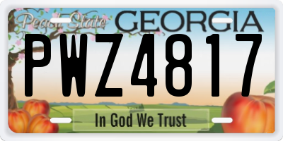 GA license plate PWZ4817