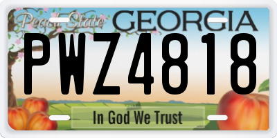 GA license plate PWZ4818