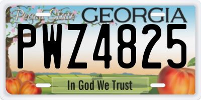 GA license plate PWZ4825