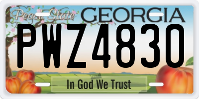 GA license plate PWZ4830