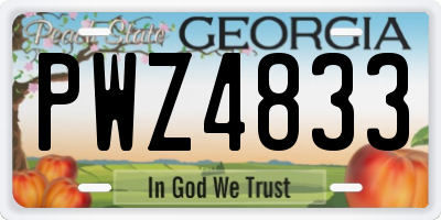 GA license plate PWZ4833