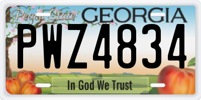 GA license plate PWZ4834