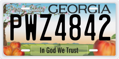 GA license plate PWZ4842