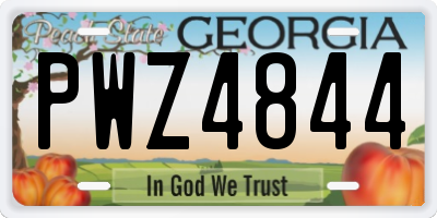 GA license plate PWZ4844