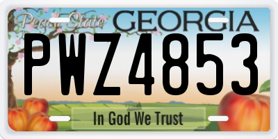 GA license plate PWZ4853