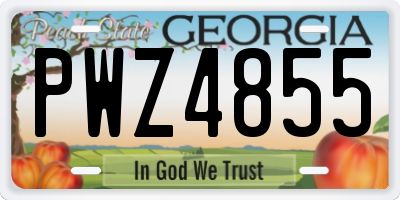 GA license plate PWZ4855