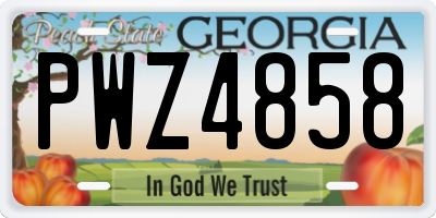 GA license plate PWZ4858
