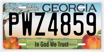 GA license plate PWZ4859