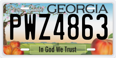 GA license plate PWZ4863