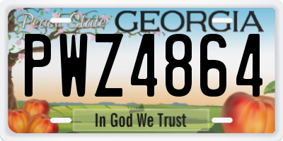 GA license plate PWZ4864