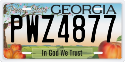 GA license plate PWZ4877