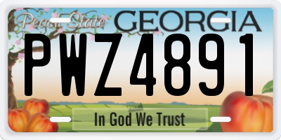 GA license plate PWZ4891