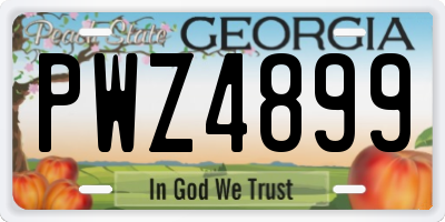 GA license plate PWZ4899