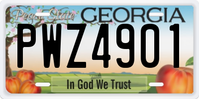 GA license plate PWZ4901