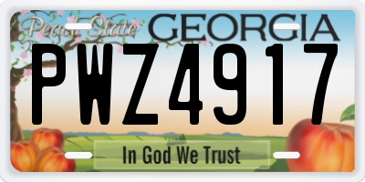 GA license plate PWZ4917