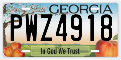 GA license plate PWZ4918