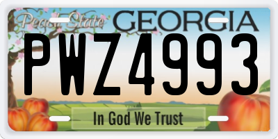 GA license plate PWZ4993