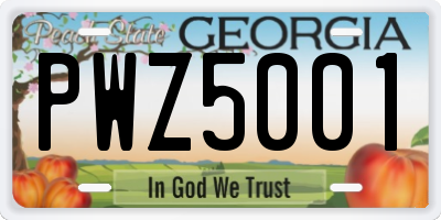 GA license plate PWZ5001