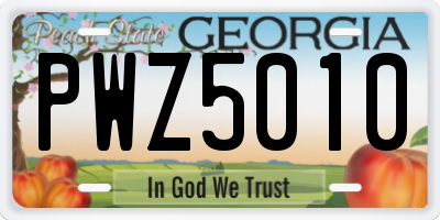 GA license plate PWZ5010