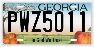 GA license plate PWZ5011