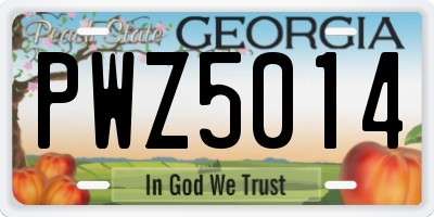 GA license plate PWZ5014