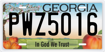 GA license plate PWZ5016