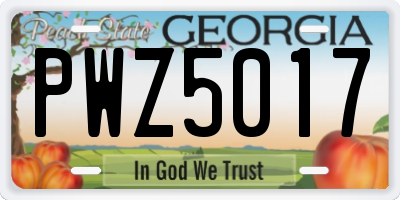 GA license plate PWZ5017