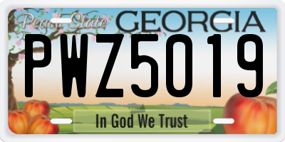GA license plate PWZ5019