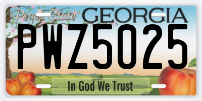 GA license plate PWZ5025