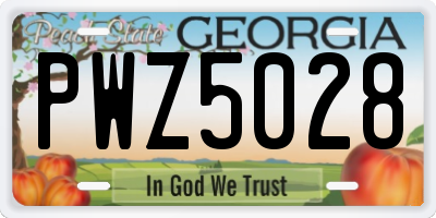 GA license plate PWZ5028