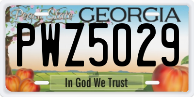 GA license plate PWZ5029