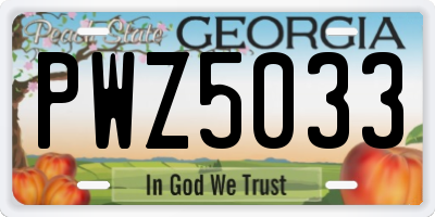 GA license plate PWZ5033