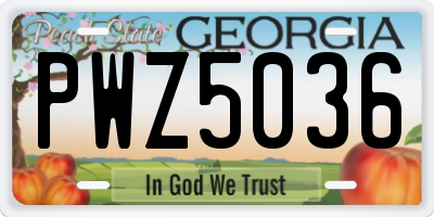 GA license plate PWZ5036