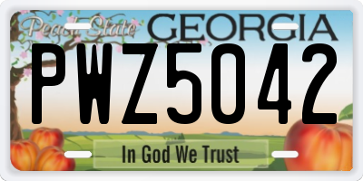 GA license plate PWZ5042