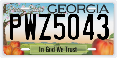 GA license plate PWZ5043
