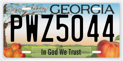 GA license plate PWZ5044
