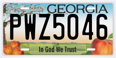 GA license plate PWZ5046