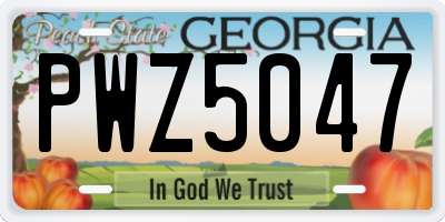 GA license plate PWZ5047
