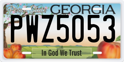 GA license plate PWZ5053