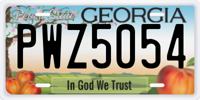 GA license plate PWZ5054